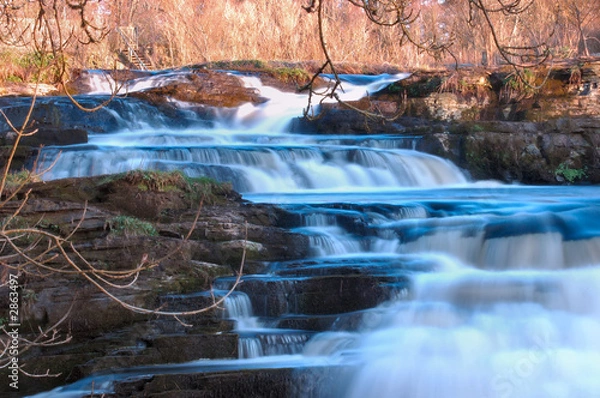 Obraz the salmon leap