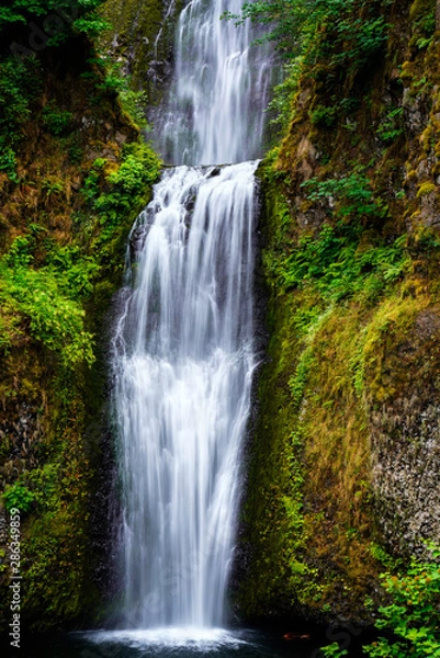 Fototapeta Multnomah Falls - Oregon