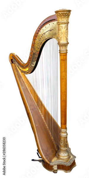 Fototapeta Harp