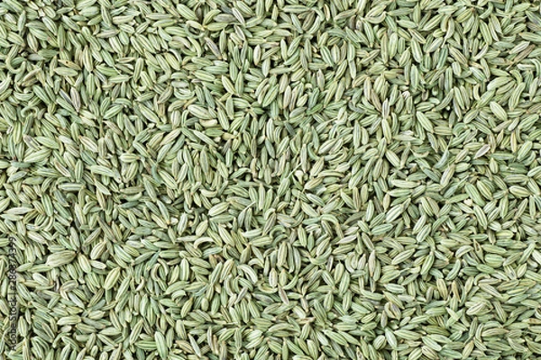 Obraz Fennel Seed Texture