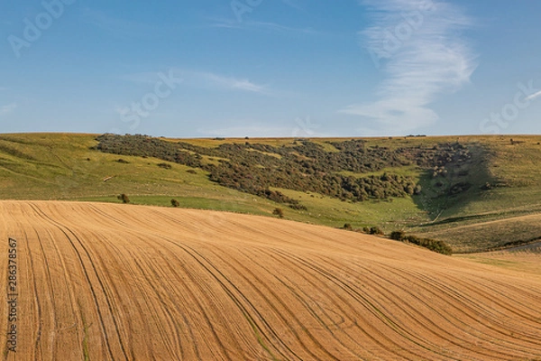 Fototapeta A rolling Sussex landscape on a sunny summers evening