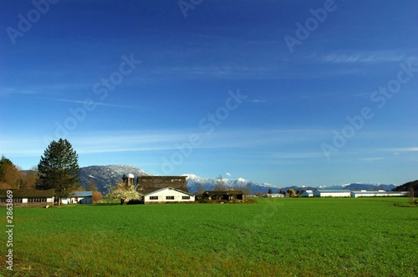 Fototapeta farmland in spring