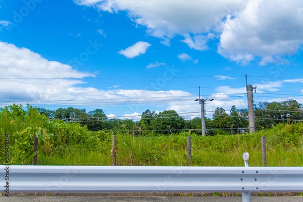 Fototapeta 田舎の空