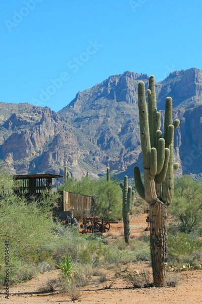 Fototapeta superstition mountains