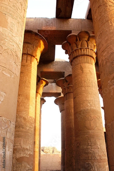 Fototapeta temple at com-ombo - egypt
