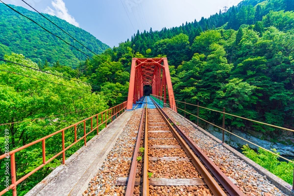 Obraz 神岡レールマウンテンバイク ガッタンゴーの風景(渓谷コース)	