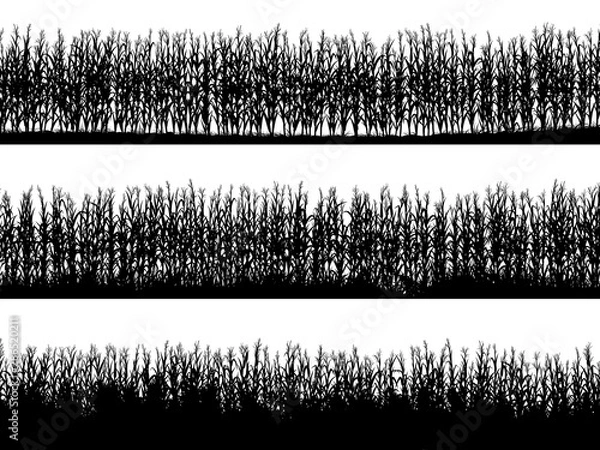 Obraz Horizontal banners of field silhouettes with corn.