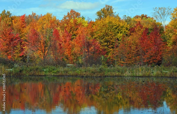 Obraz North Chagrin Reservation Autumn