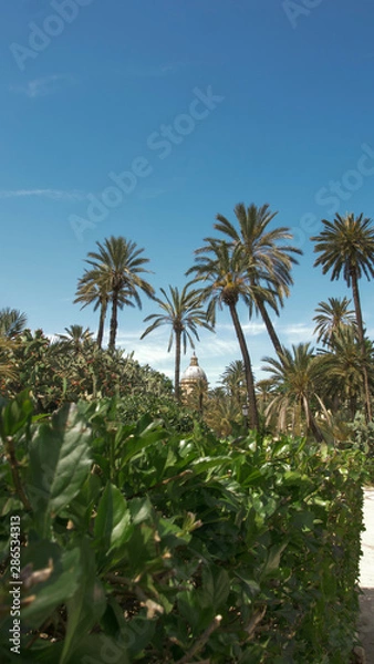 Obraz Palermo, Sicilia 