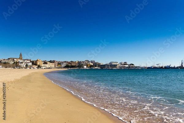 Fototapeta palamos 2