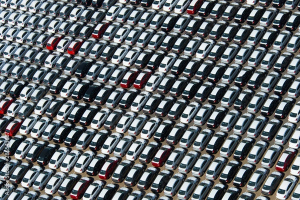 Fototapeta Export Type