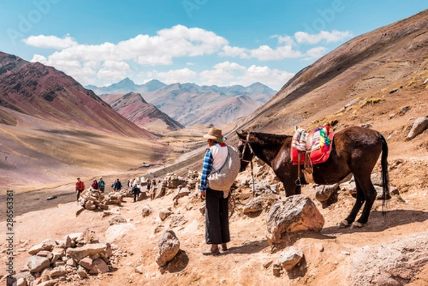 Fototapeta Peruvian Cowboy with horse stands lonely in the Peruvian countryside, in the background mountains of Peru, snow covered Andes near Cusco