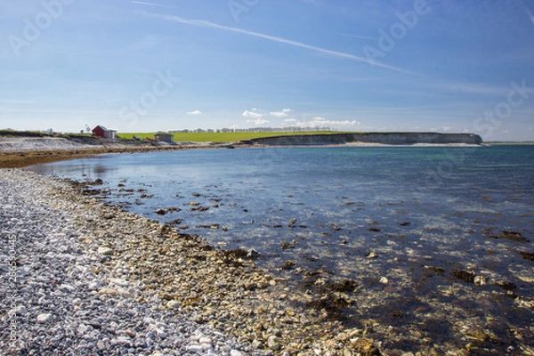Fototapeta Sangstrup Klint - white cliffs in Djursland area, Denmark