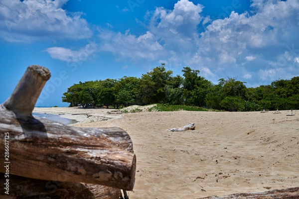 Obraz beautiful beach with blue sky and white fluffy clouds and golden brown sand
