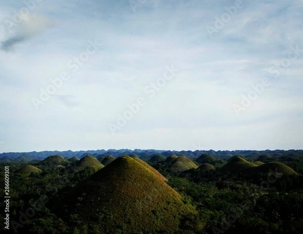 Fototapeta chocolates hill