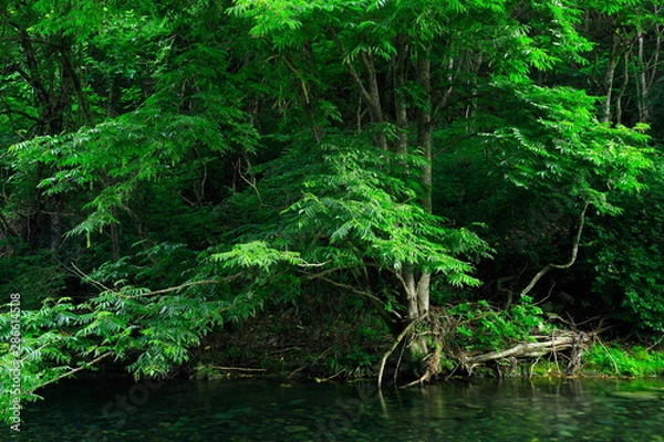 Fototapeta 夏の気仙大滝
