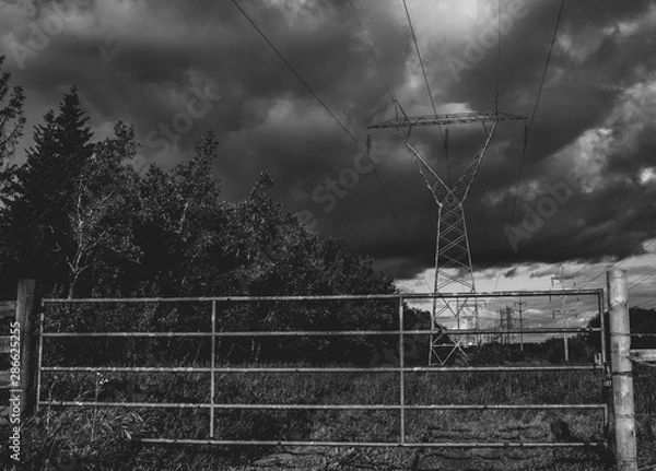 Obraz Power Lines