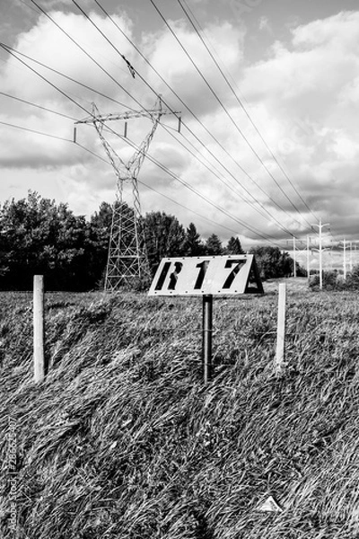 Obraz Field and power lines