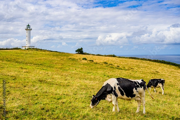 Obraz Faro en Lastres