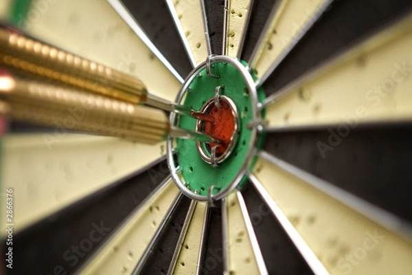 Obraz hitting the bull's eye