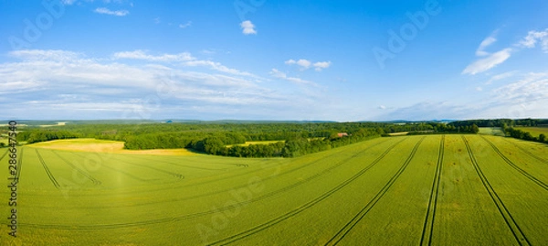 Fototapeta Panorama sur la campagne française et une forêt au milieu des champs