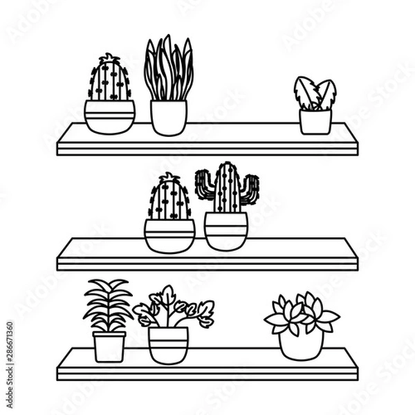 Fototapeta Plants inside pots and furniture vector design