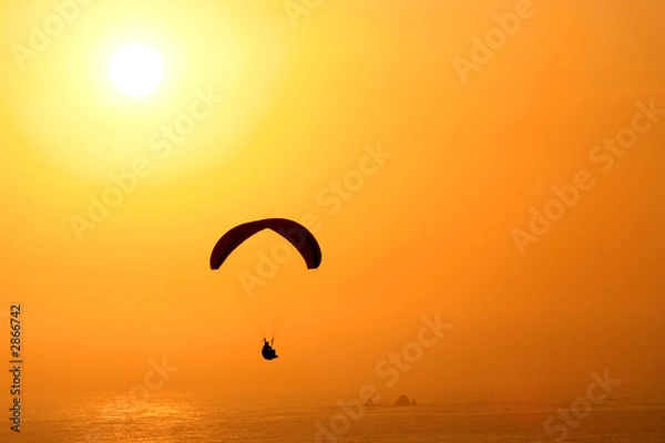 Fototapeta free like a bird