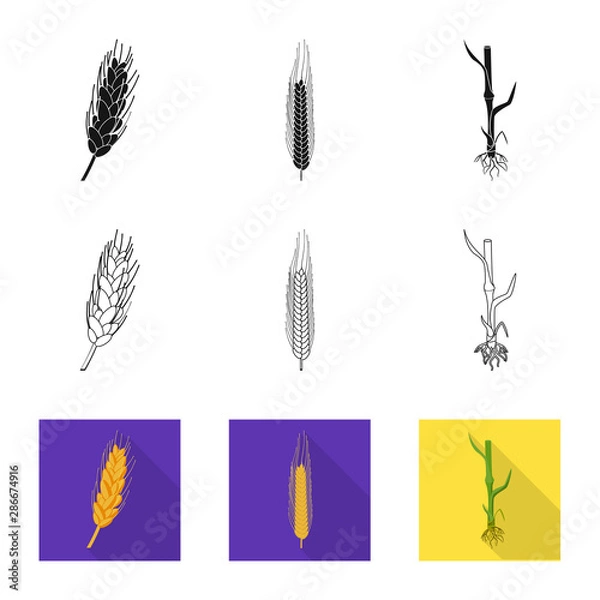 Fototapeta Isolated object of agriculture and farming symbol. Collection of agriculture and plant stock symbol for web.