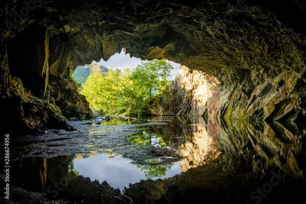 Obraz Rydal Cave during golden hour with tree lit up at cave mouth, lake district, UK