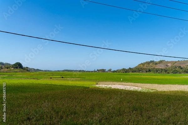 Obraz Sumba Island 5