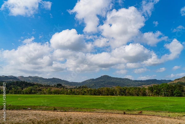 Obraz Sumba Island 12