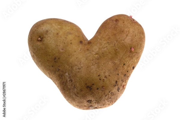 Obraz Potato heart isolated
