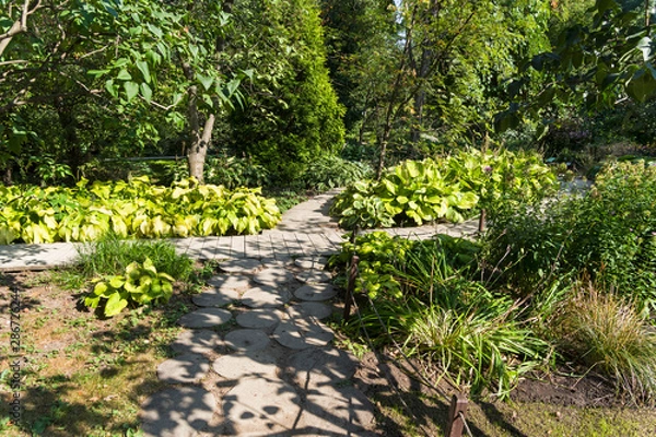 Fototapeta Beautiful and neat paths in the botanical garden.