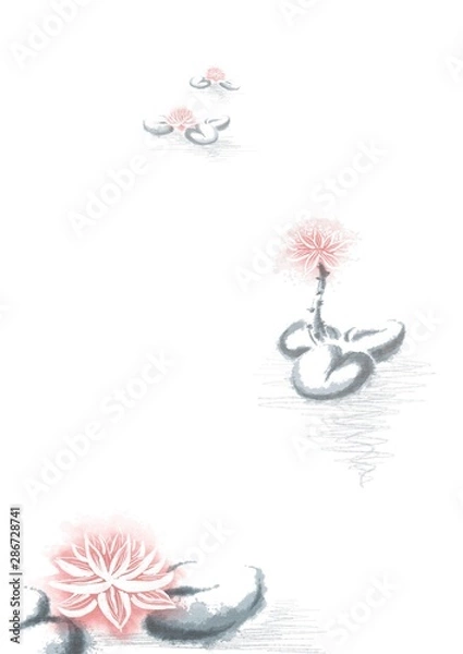 Fototapeta Lotus Flowers