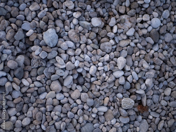 Obraz OLYMPUS DIGITAL CAMERA