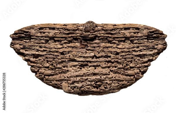 Obraz rotten wooden background