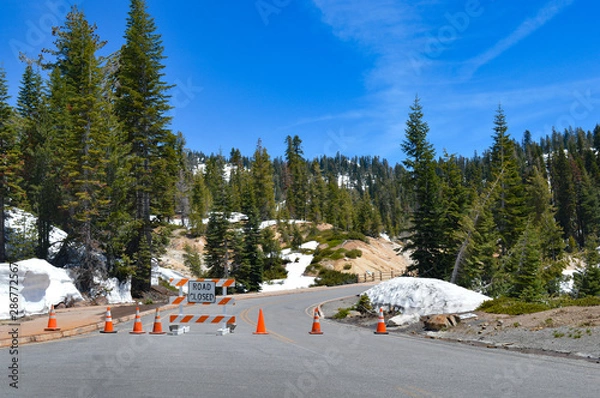 Obraz "Road Closed" sign with orange traffic cones blocking the road off