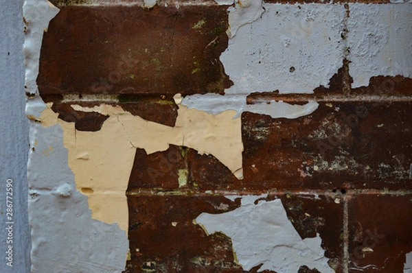 Obraz Grungy close-up texture of old bricks with peeling paint