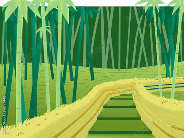 Fototapeta Green illustration sagano bamboo forest  Japan for parallax effect