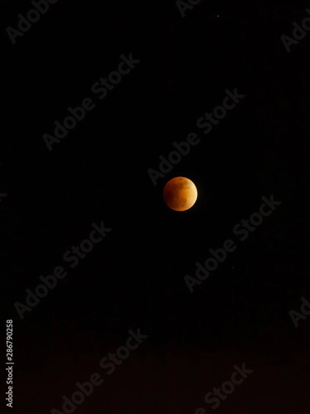 Fototapeta 月蝕