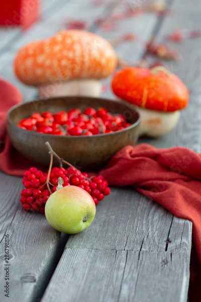 Fototapeta Apple on the old wooden background with pumpkins, rowanberry, red fabric, leaves and bowl with rosehip. Autumn arrangement of fall harvest. Selective focus, vertical.