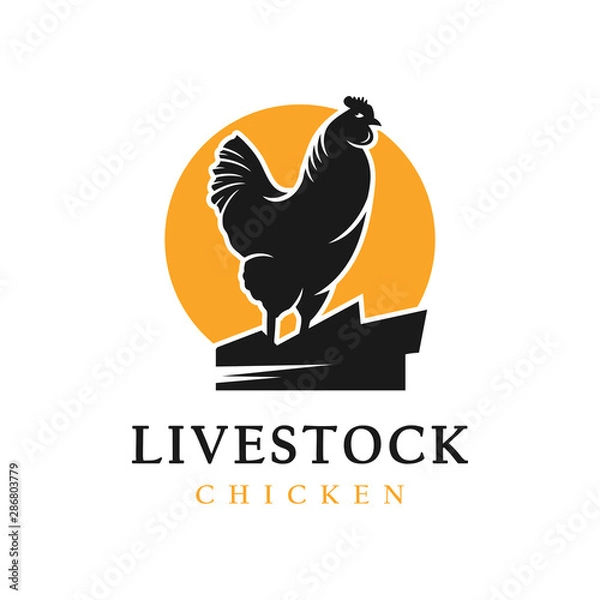 Obraz Chicken egg livestock logo design template