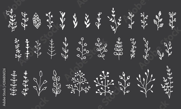 Fototapeta Collection of floral elements isolated on black background. Hand drawn leaves for your design.