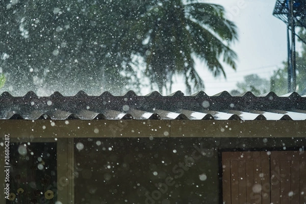 Fototapeta Storm rain on the roof of the house.