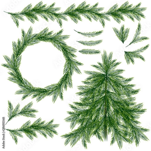 Fototapeta Christmas set useful for holiday decorations and border. Spruce tree, branches, wreath and border isolated on wite background. Vector, EPS 10.