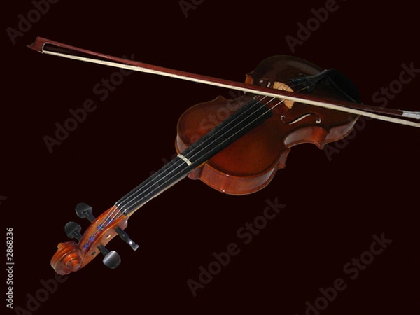 Fototapeta violon font noir