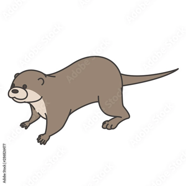 Fototapeta カワウソ