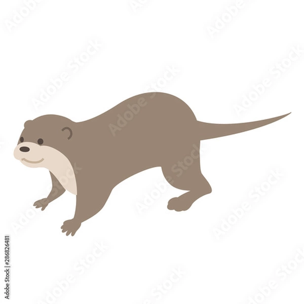 Fototapeta カワウソ