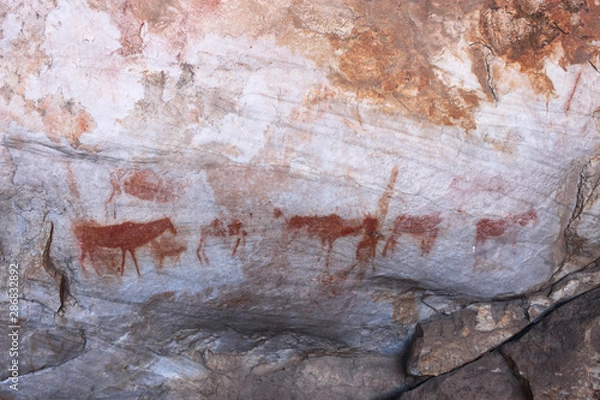 Obraz Ancient Khoisan bushman drawings on rock in a cave in the Cederberg mountains.