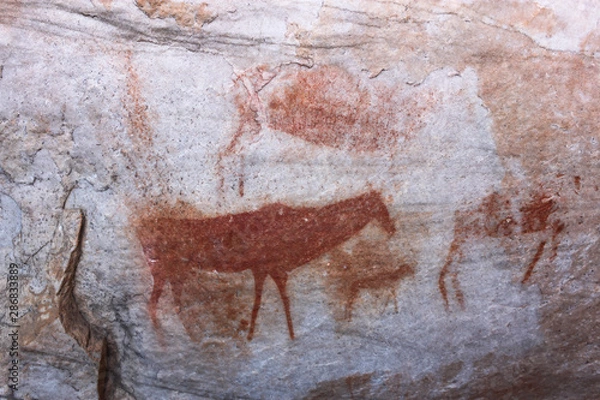 Obraz Ancient Khoisan bushman drawings on rock in a cave in the Cederberg mountains.